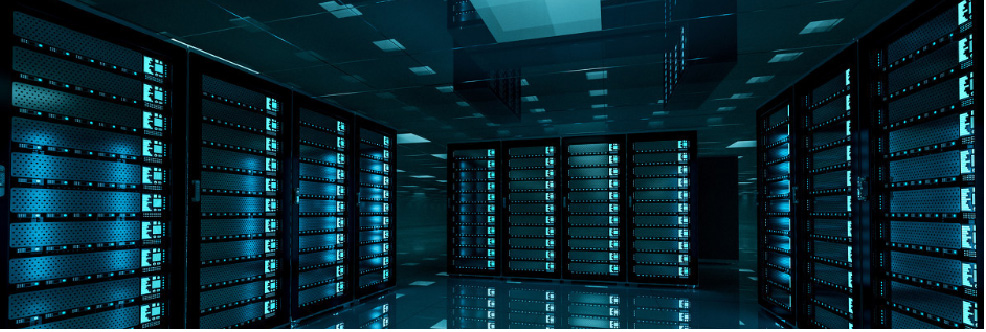 正规的澳门投注站