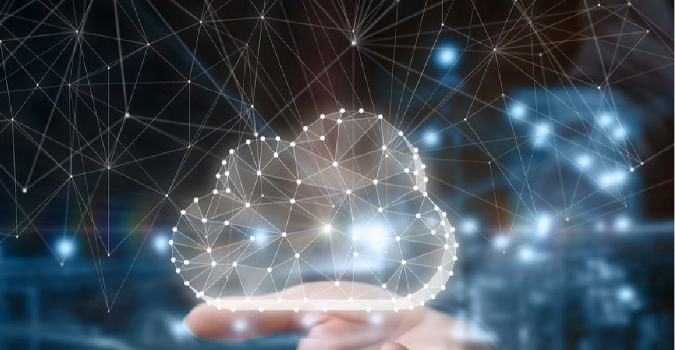 正规的澳门投注站