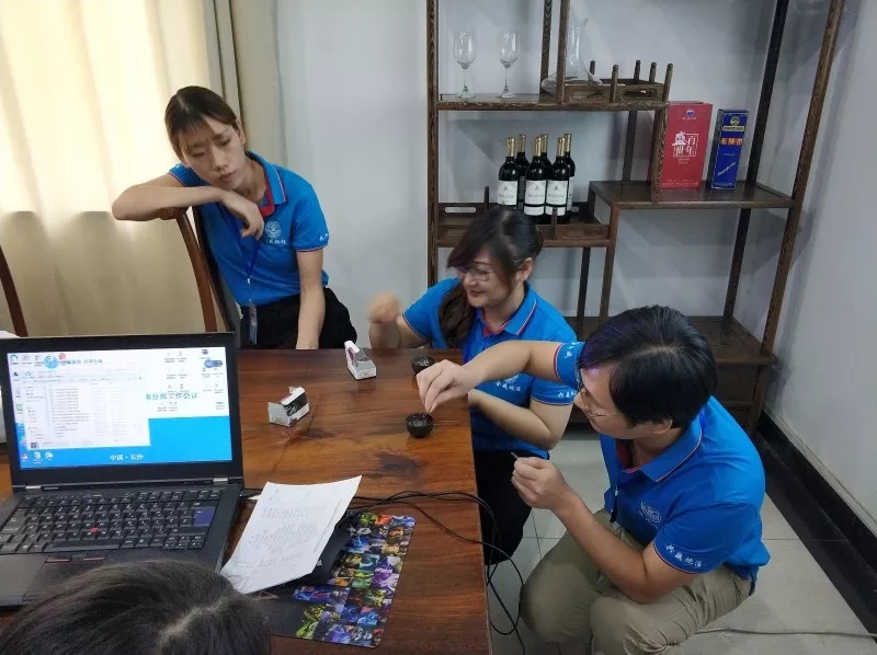 正规的澳门投注站