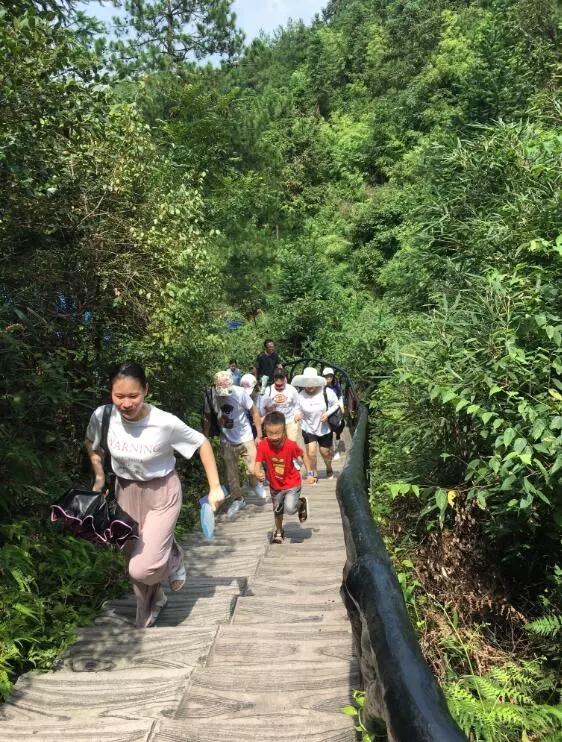 正规的澳门投注站
