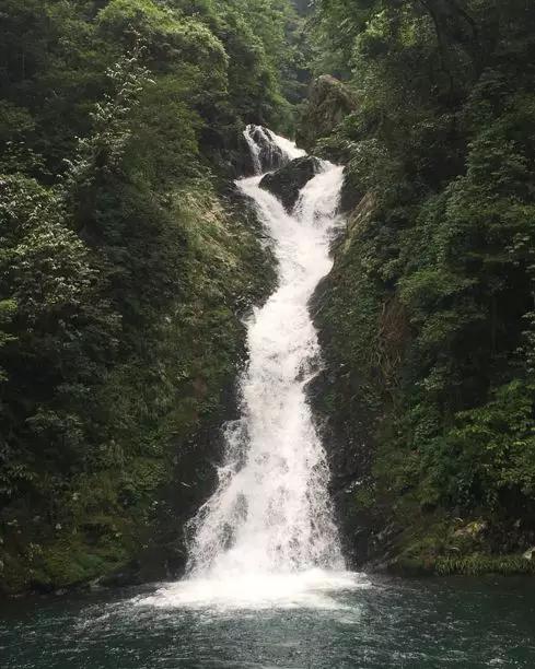 正规的澳门投注站