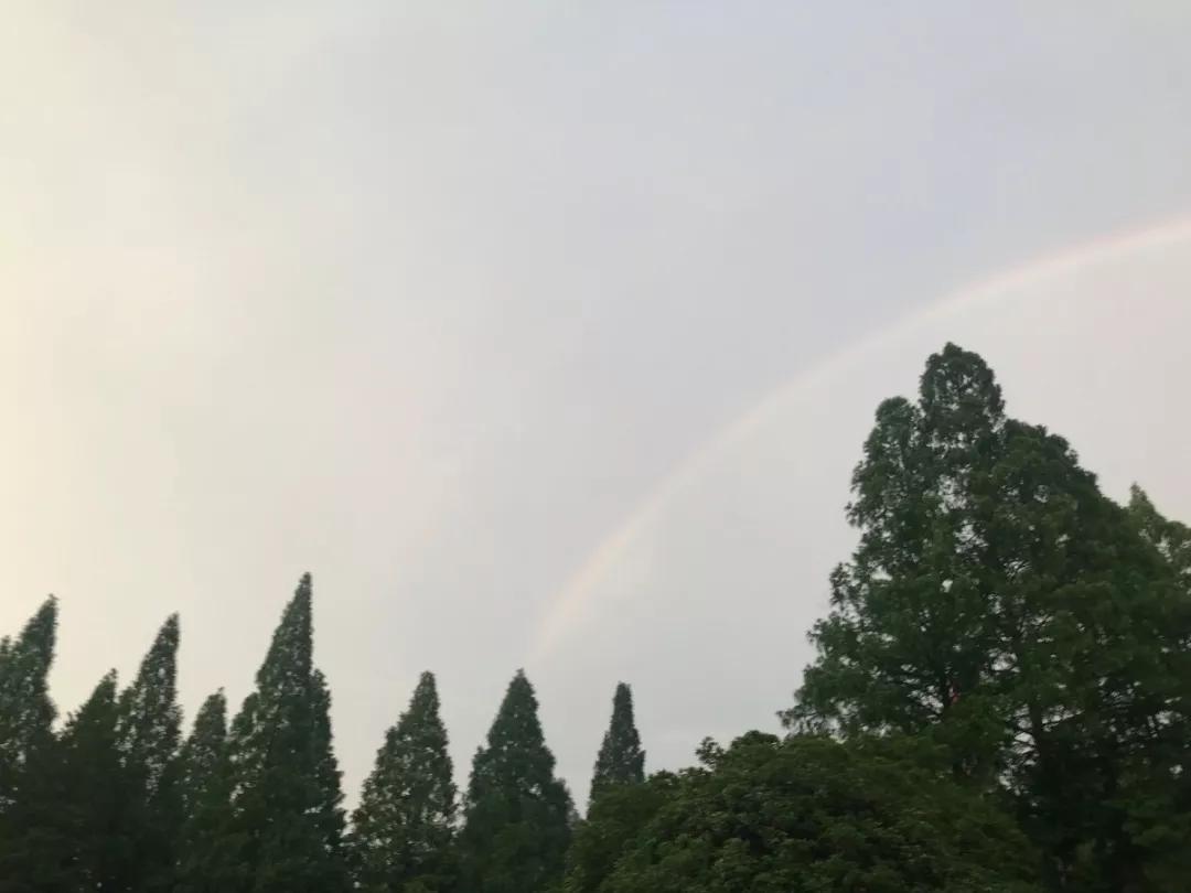 正规的澳门投注站