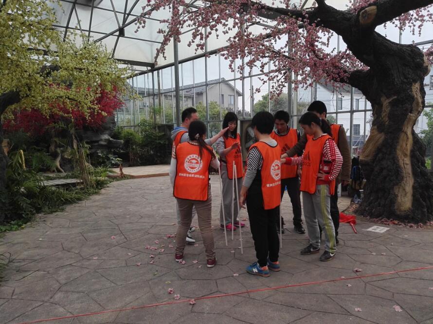 正规的澳门投注站