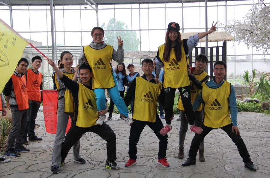 正规的澳门投注站