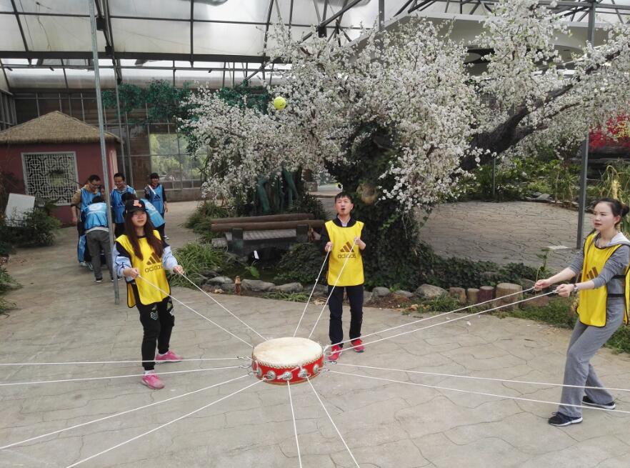 正规的澳门投注站