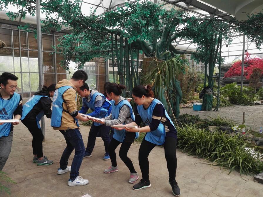 正规的澳门投注站