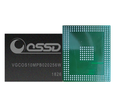 正规的澳门投注站