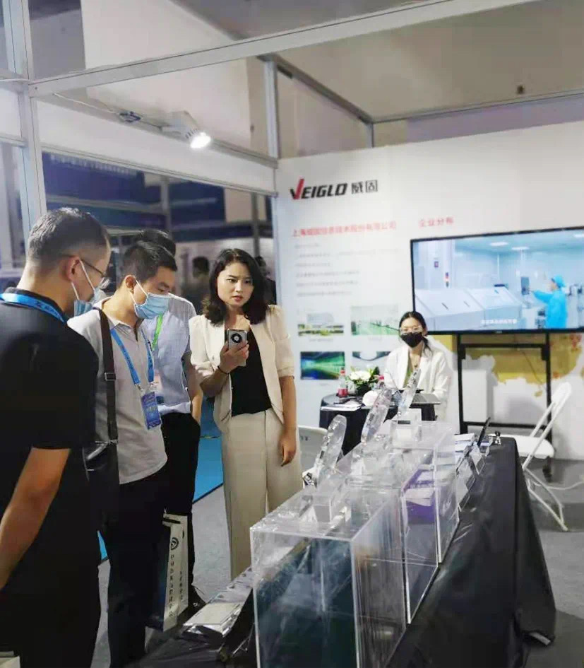 正规的澳门投注站