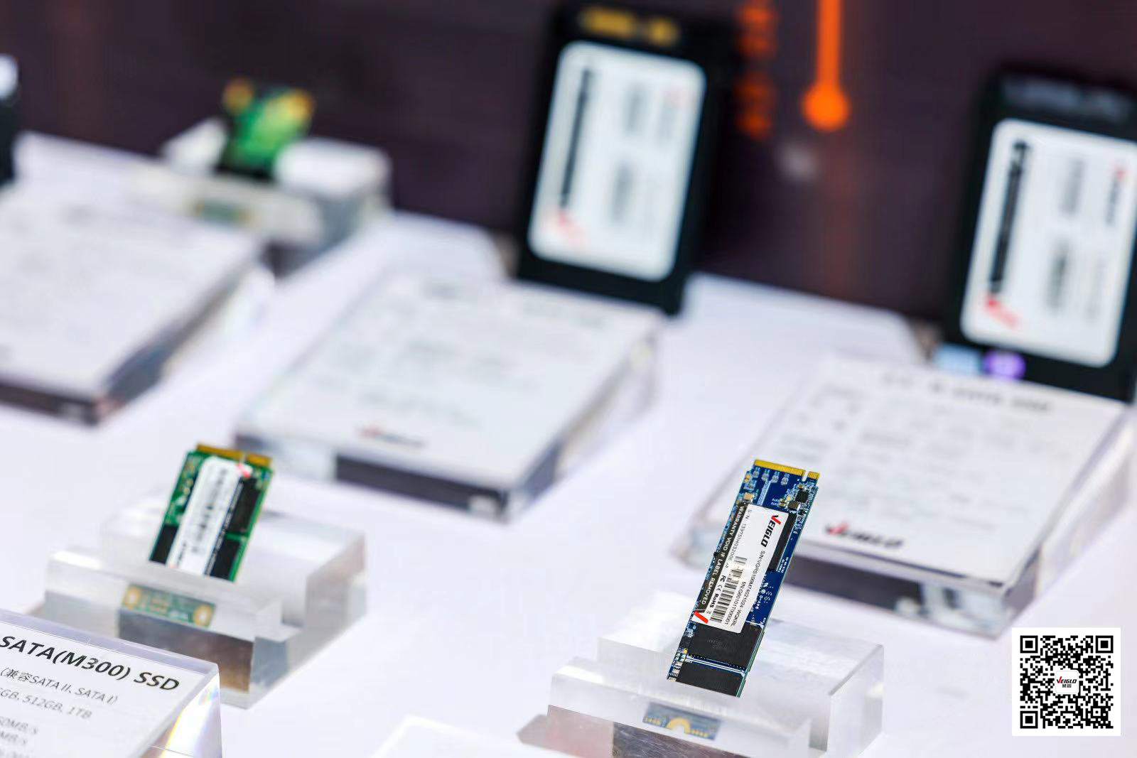 正规的澳门投注站