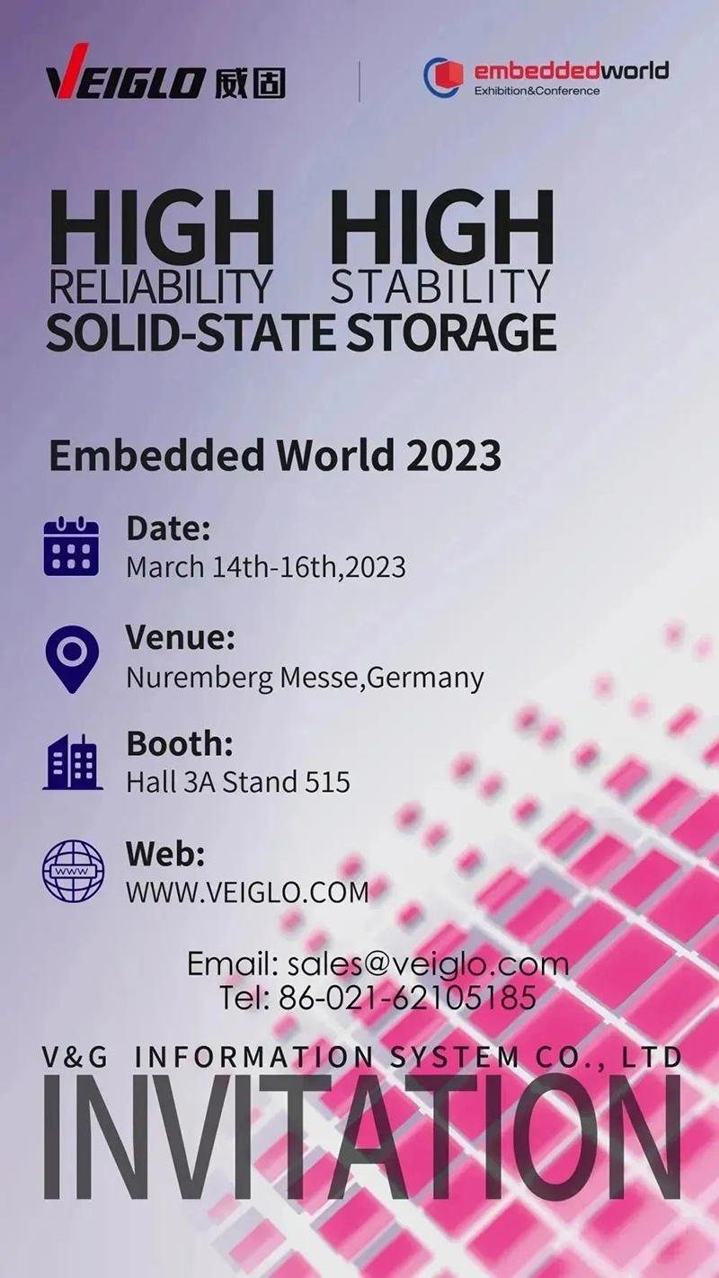 正规的澳门投注站