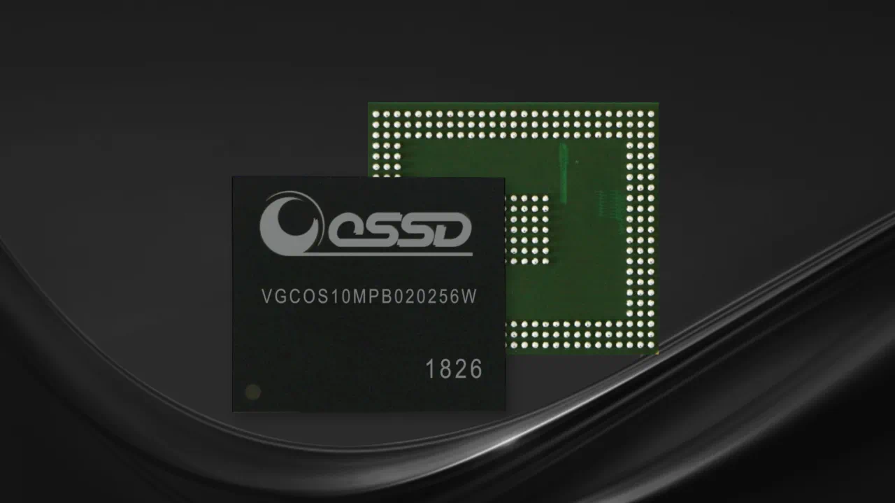 正规的澳门投注站