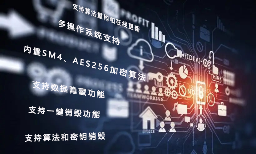 正规的澳门投注站