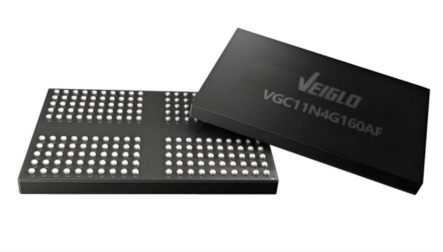 正规的澳门投注站