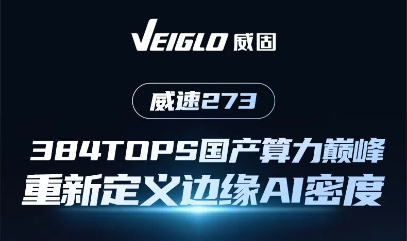 威速273：384TOPS+32GB内存，宽温工业级AI加速卡